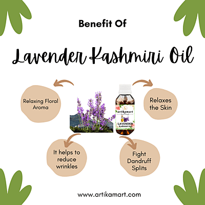 Lavender Oil E.O. Kashmiri