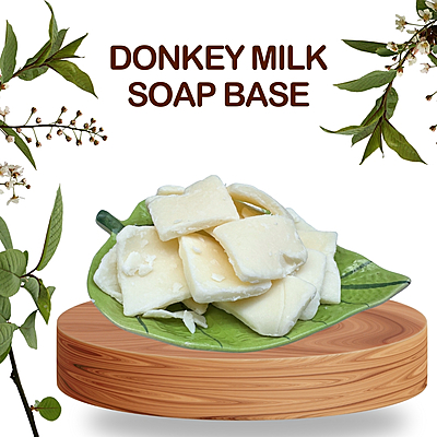 SoapBase Donkey Milk (kg)