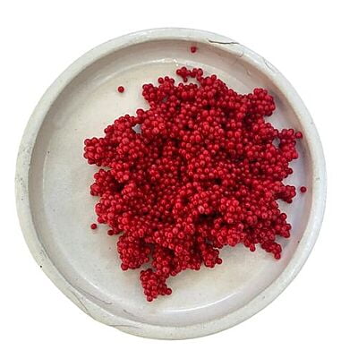 JOJOBA BEAD-Vitamin-E Active - RED 10#12