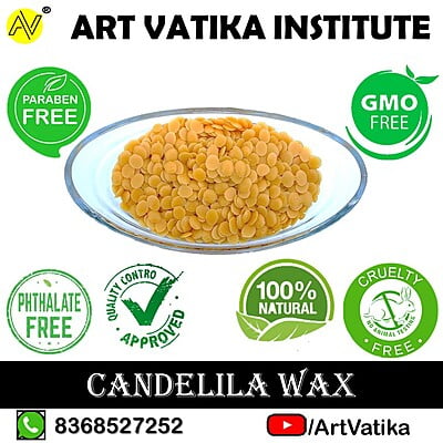 Candelila Wax Pellets